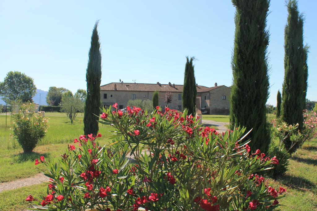 Il Grifone A Cortona Residence מראה חיצוני תמונה