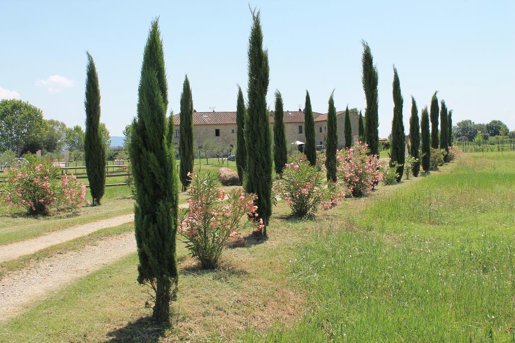 Il Grifone A Cortona Residence מראה חיצוני תמונה