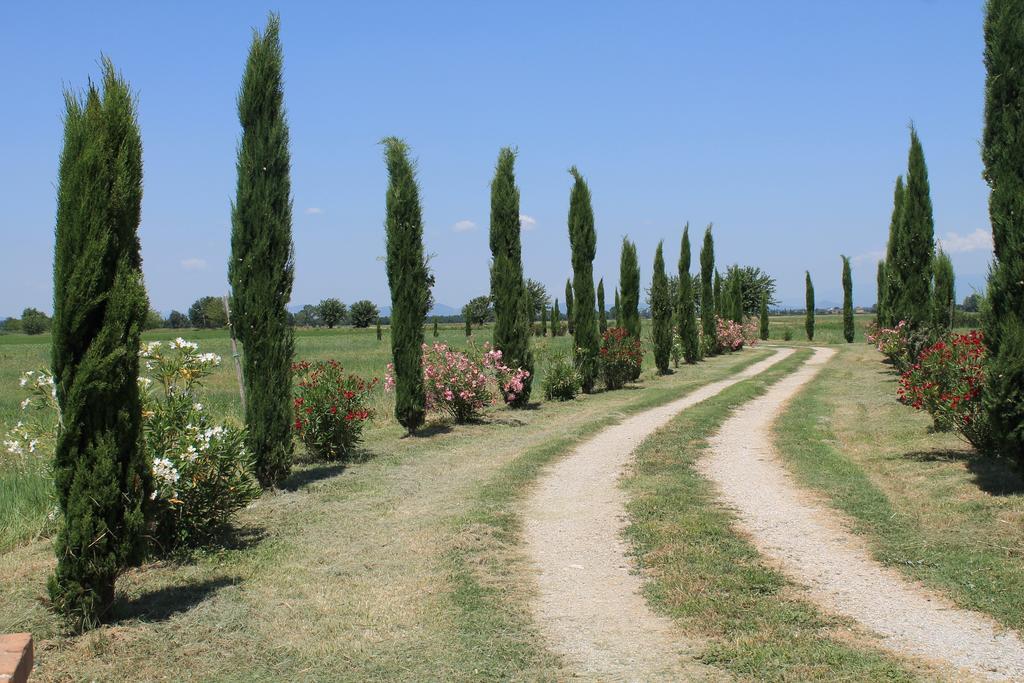 Il Grifone A Cortona Residence מראה חיצוני תמונה