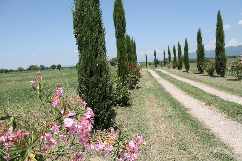 Il Grifone A Cortona Residence מראה חיצוני תמונה