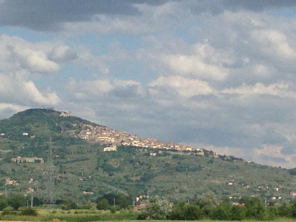 Il Grifone A Cortona Residence מראה חיצוני תמונה