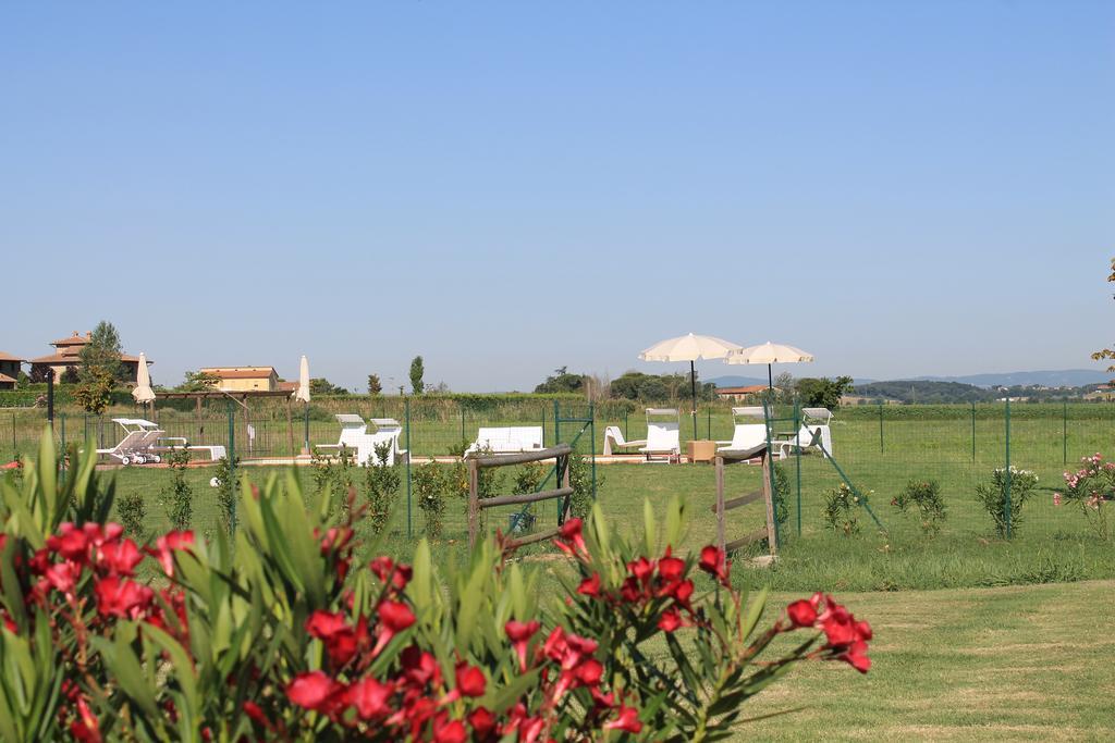 Il Grifone A Cortona Residence מראה חיצוני תמונה