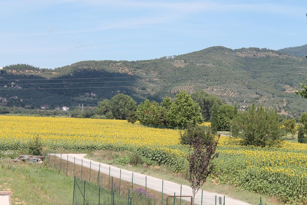 Il Grifone A Cortona Residence מראה חיצוני תמונה
